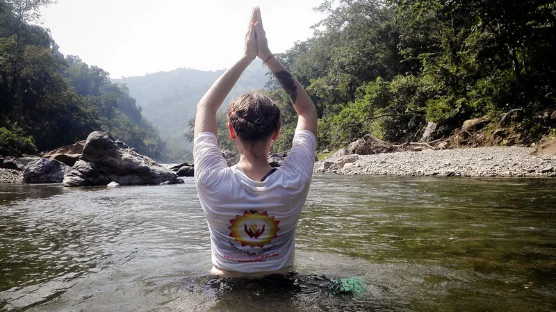 Yoga Vidya School | Yoga Teacher Training School, Rishikesh