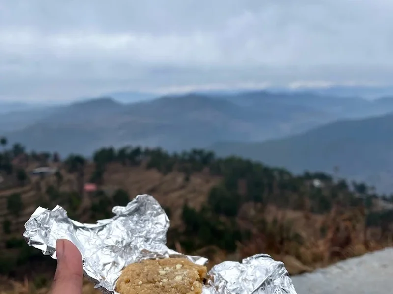 THE HIMALAYAN TEA HOUSE CAFE