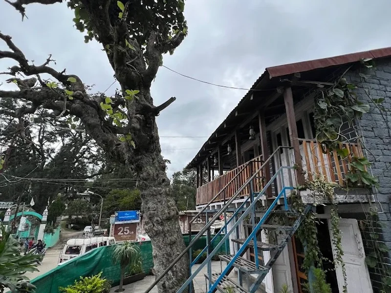 Dajyus cafe and restaurant