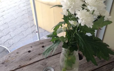 I Migliori 6 tortelloni a Ortica Milano