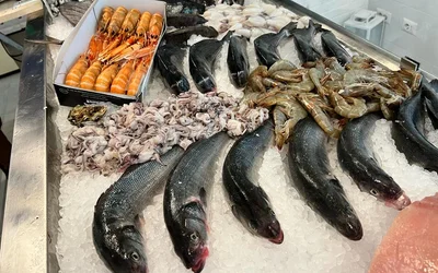 Lista 5 ristoranti di pesce a Città Studi Milano