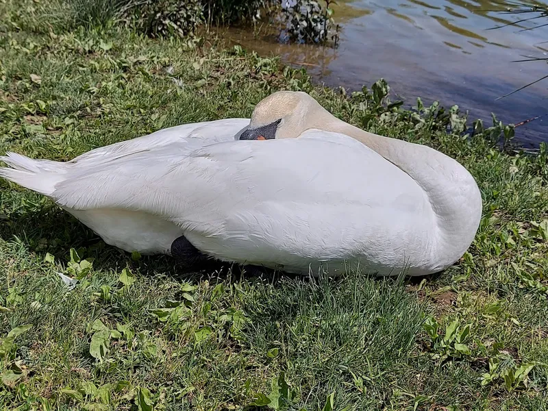 Parco Nord Milano