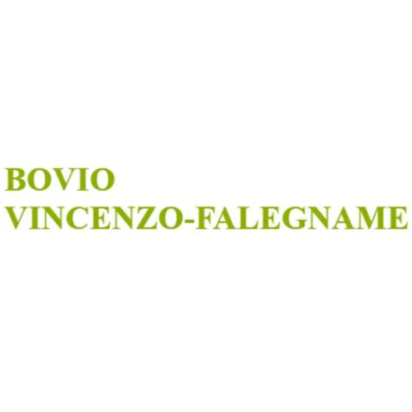 Bovio Vincenzo - Falegname