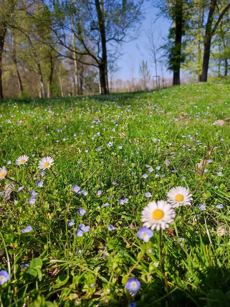 Parco Lambro