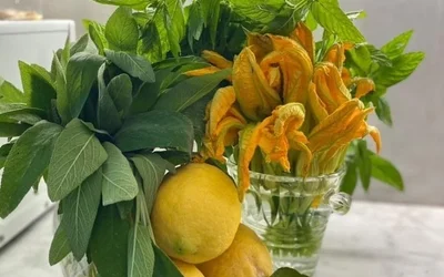 I Migliori 9 ristoranti a Trionfale Roma