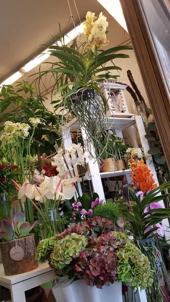 La Riviera Fiori - Negozio di fiori, Idee Regalo e Allestimento Eventi