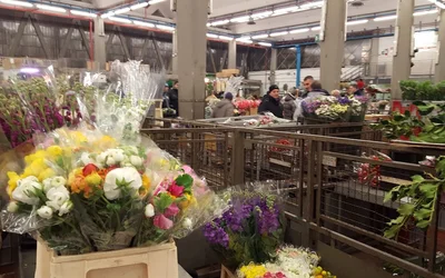 Lista 10 fiorista a Trionfale Roma