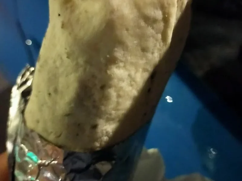 Pizzeria Piu' Tavola Calda