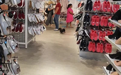 I Migliori 14 negozi di abbigliament a Giuliano-Dalmata Roma