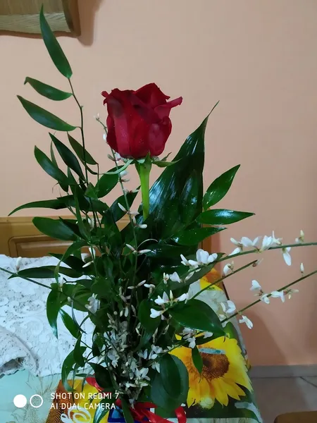 I Fiori di Sara Due