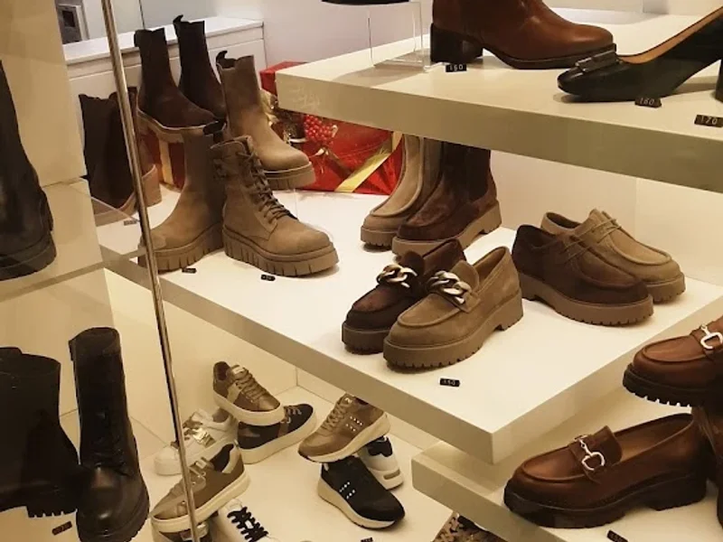 Zampaloni Calzature Sas Di Ferrari Valter