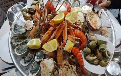 I Migliori 5 ristoranti per il pranzo a Cenisia Torino