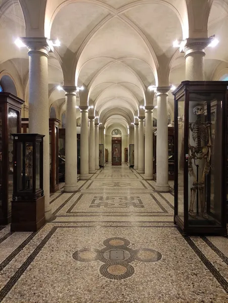 Museo di Anatomia Umana Luigi Rolando