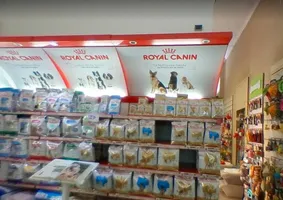 Lista 10 negozi per animali a San Salvario Torino