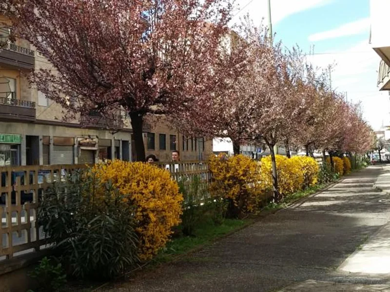 B&B Il Sole e La Luna