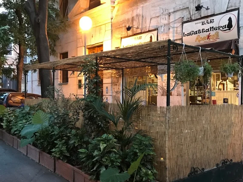 BAR LaGattaNera