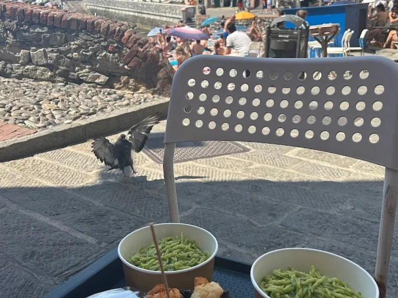 Il Genovese a Boccadasse - Sciamadda 2.0