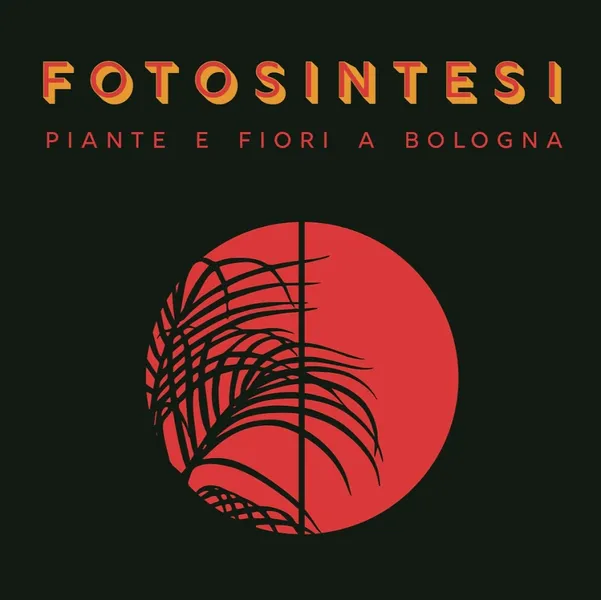 Fotosintesi - Piante e Fiori