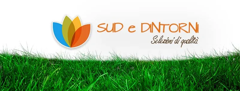 Sud e Dintorni