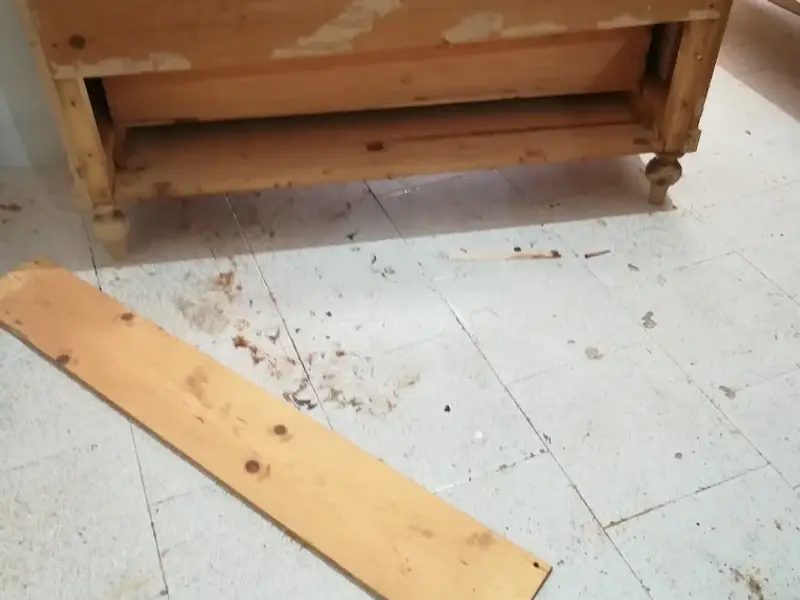 La bottega di Mastro Geppetto