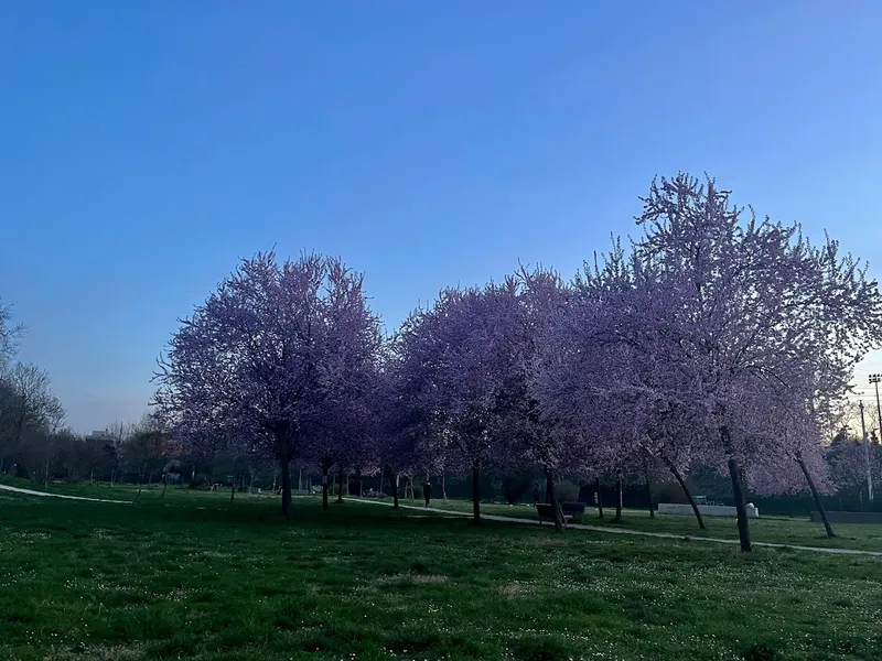 Parco San Donnino, via San Donato (BO)