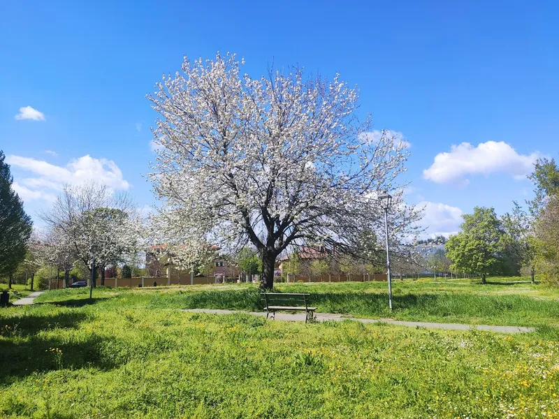 Parco Vincenzo Tanara