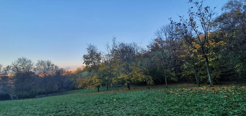 Parco del Talischio