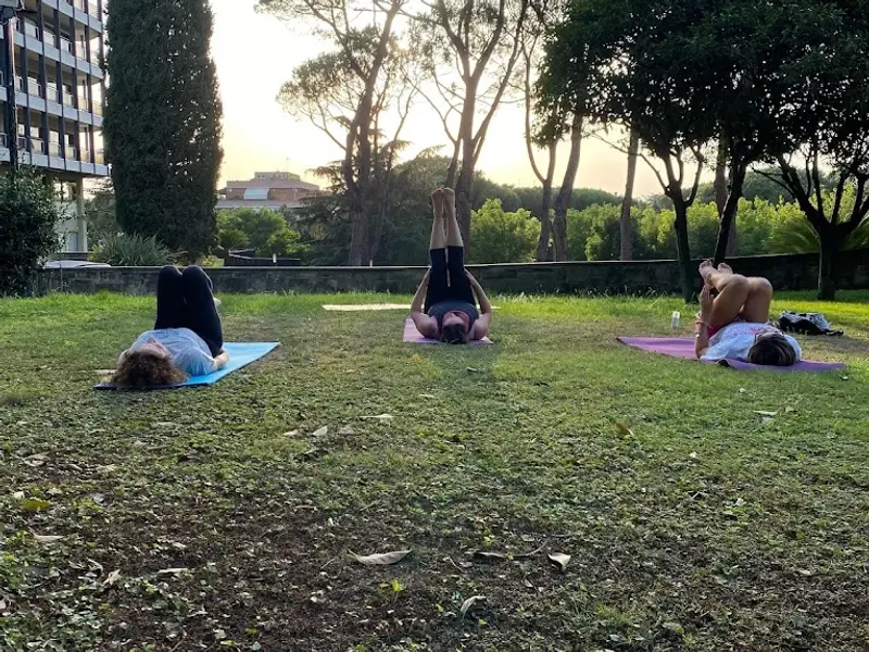 Studio Pilates - Gyrotonic - Yoga