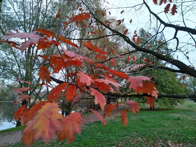 Parco delle Cave