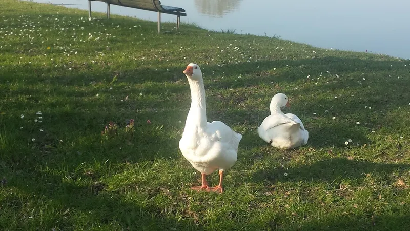 Parco Agricolo Sud Milano - Uffici