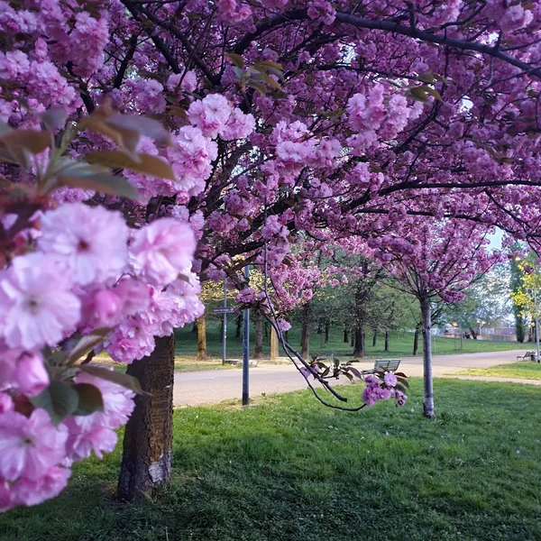 Parco Forlanini