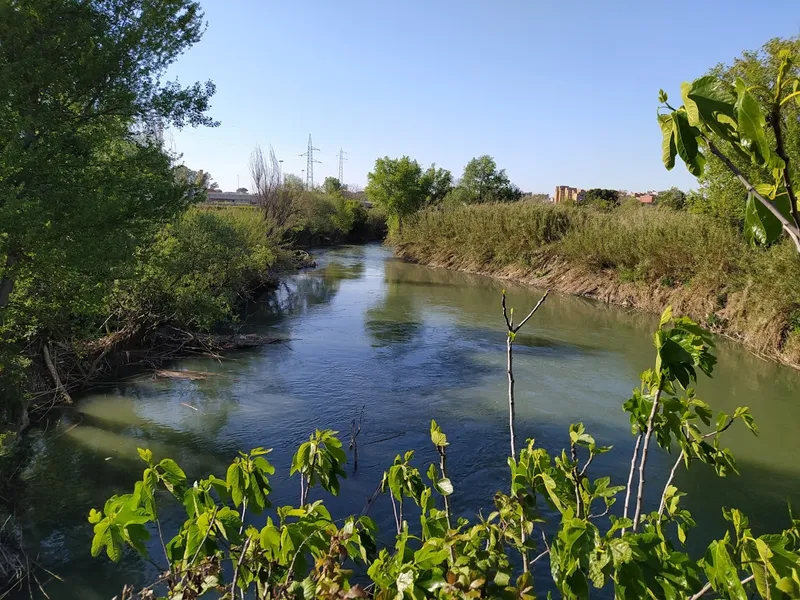 Riserva Naturale Valle dell'Aniene