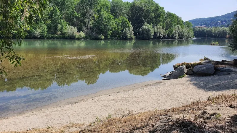 Riserva naturale del Meisino e dell'Isolone di Bertolla