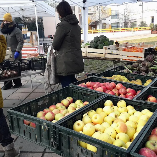 Mercato dei legami del villaggio Barona