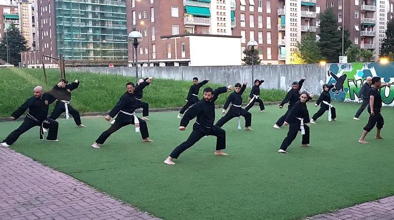 Scuola di Kung Fu a Milano | Arti Marziali Vietnamite e Cinesi