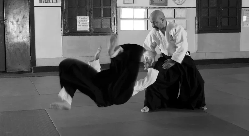 Audace Dojo (Aikido e Judo)