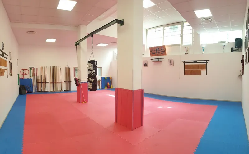 Karate. - ASD Shinghikai