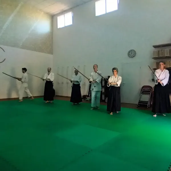 Tehodoki Aikido Bologna