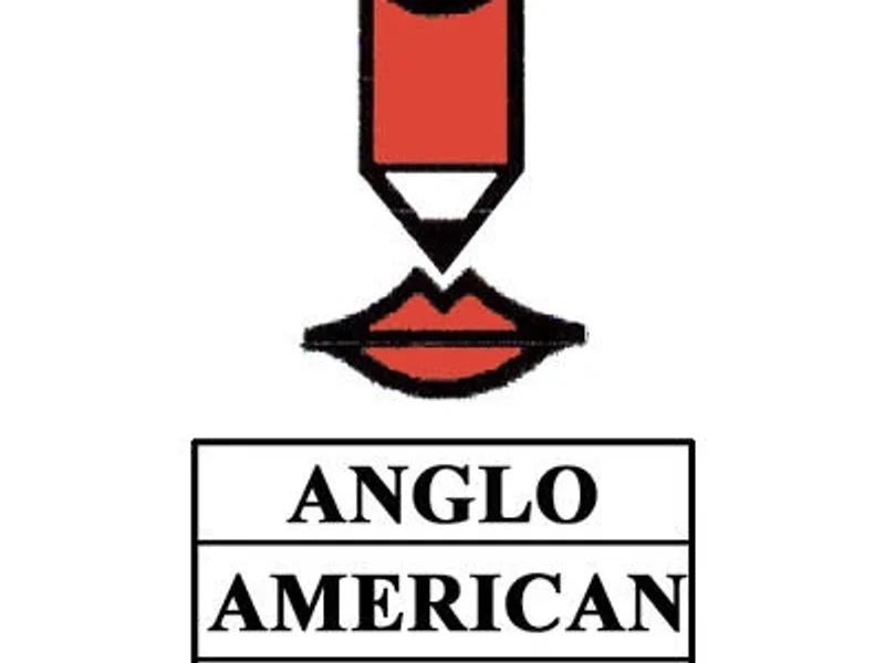 Anglo American School