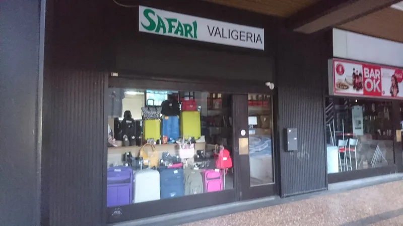 Safari Valigeria Bologna