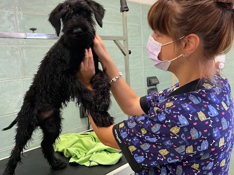 AgriPet Santa Fara srl