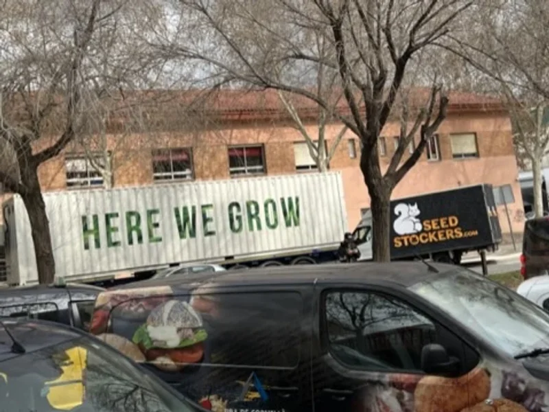 BEAR BUSH | Cannabis Light Shop - Self H24 Delivery Dispensary Store Grow & Seed