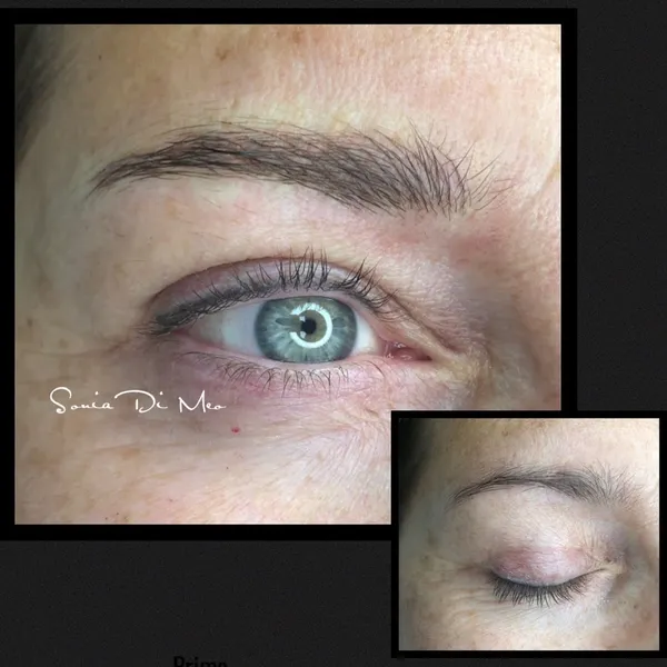 Sonia Di Meo Trucco Permanente, Microblading e Tricopigmentazione Milano