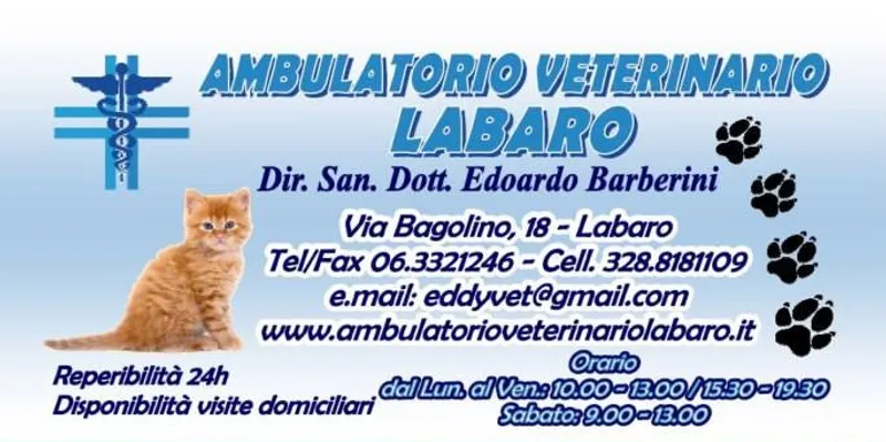 Ambulatorio Veterinario Labaro