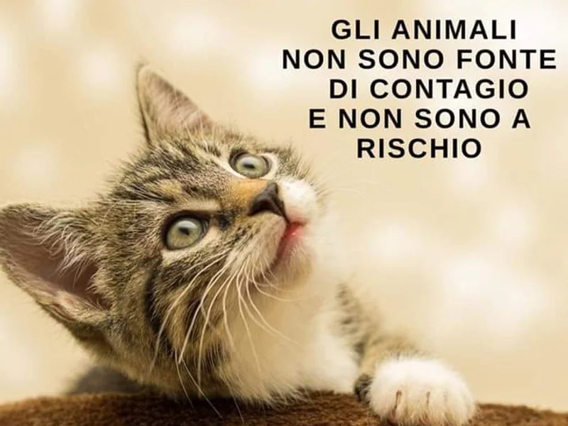 Ambulatorio Veterinario dott.ssa Badalì Francesca