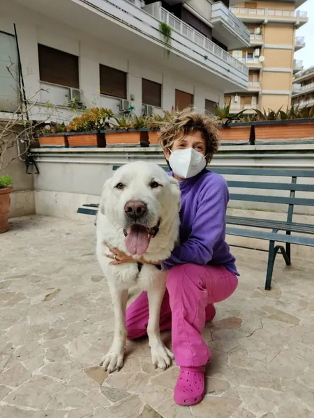 Centro Veterinario Gregorio VII - BluVet