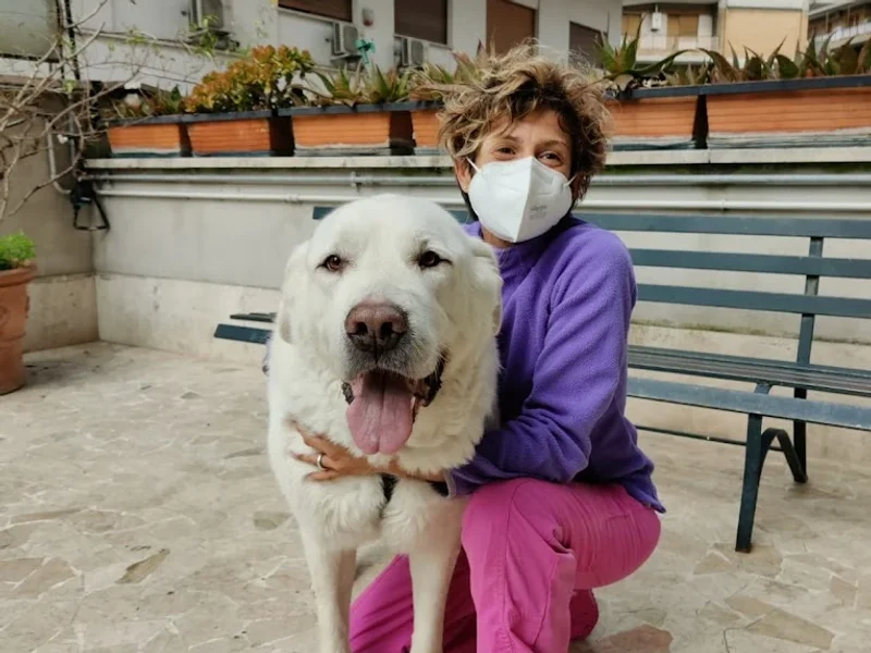 Centro Veterinario Gregorio VII - BluVet