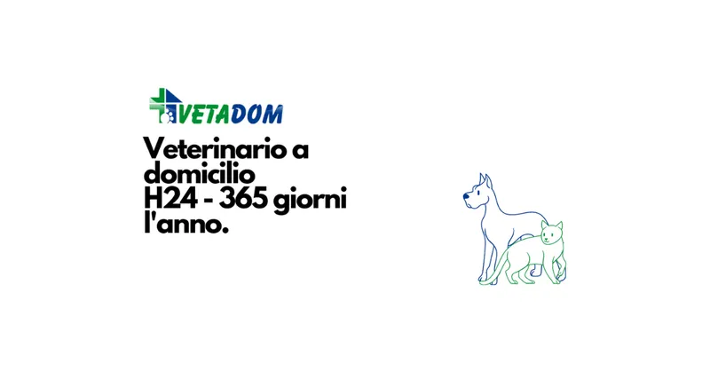 VETADOM - Veterinario a Domicilio a Roma e dintorni