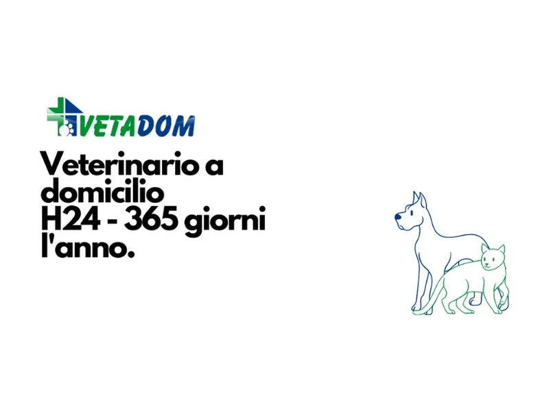 VETADOM - Veterinario a Domicilio a Roma e dintorni