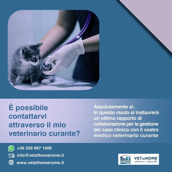 VETATHOMEROME - Veterinari a Domicilio a Roma